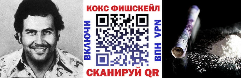 Cocaine Fish Scale  MEGA вход  Мензелинск 