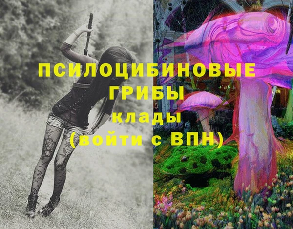 экстази Арсеньев